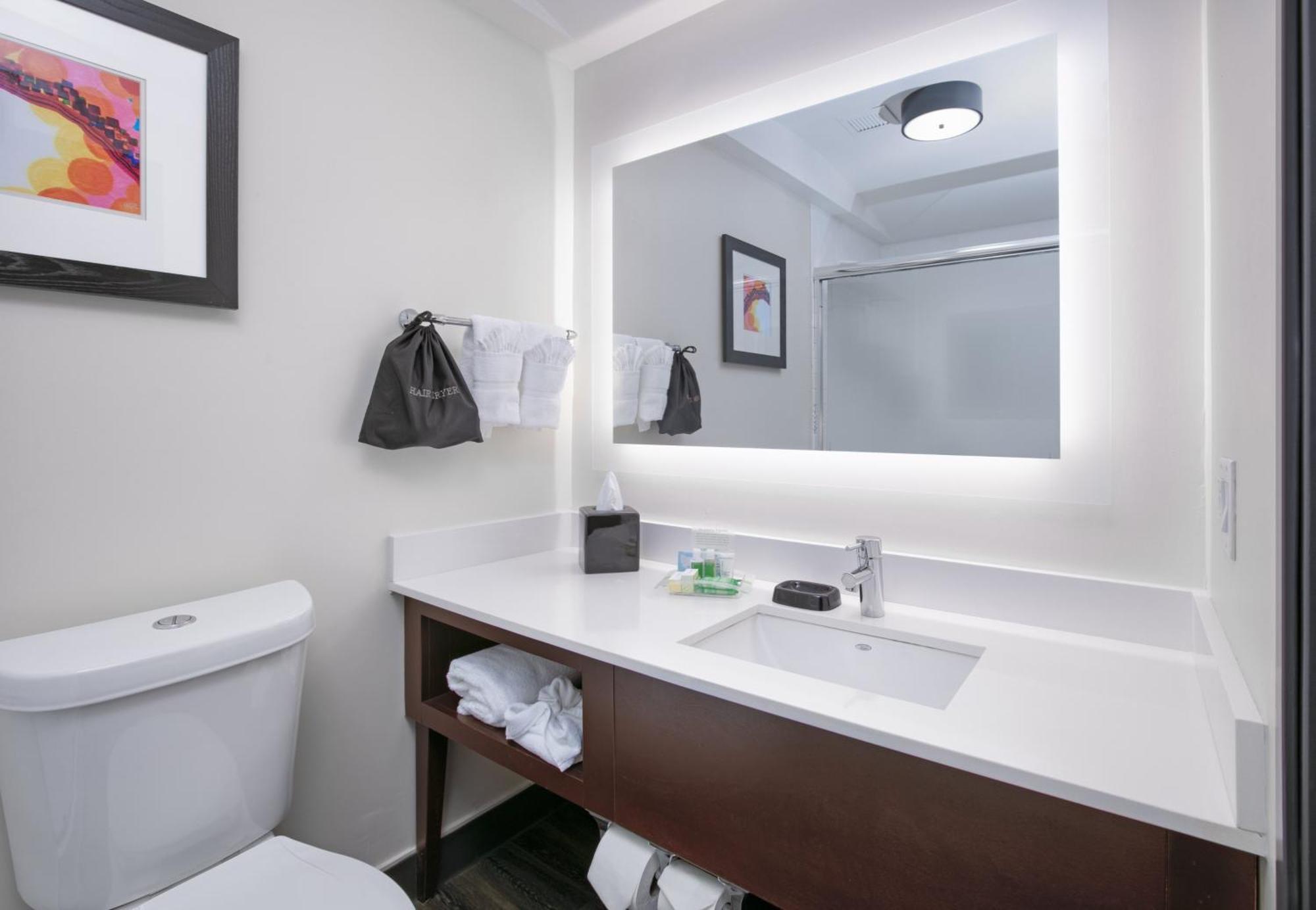 Holiday Inn Dallas - Fort Worth Airport South By Ihg Dış mekan fotoğraf
